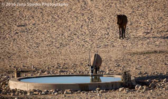 Que-at-the-water-web
