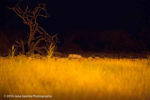 The-rock-incident-web