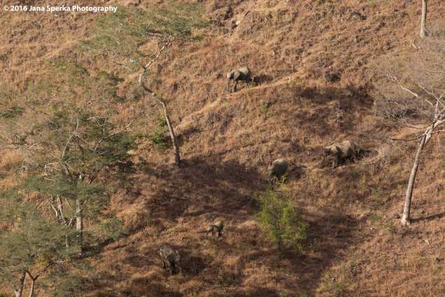 Ellies-climbing-down-cliff-side_2web