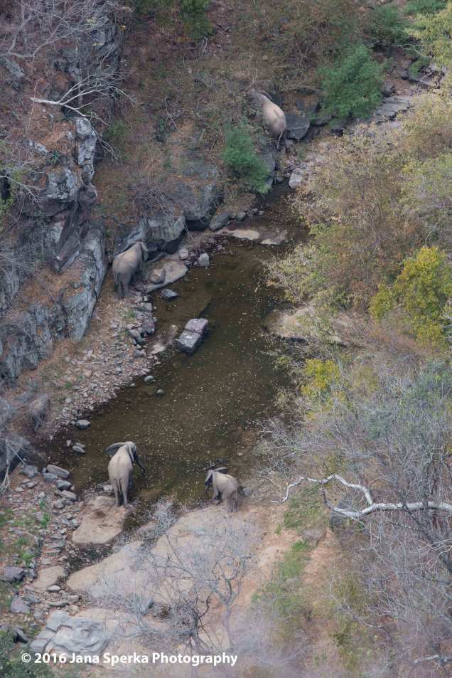Ellies-climbing-down-cliff-side_4web