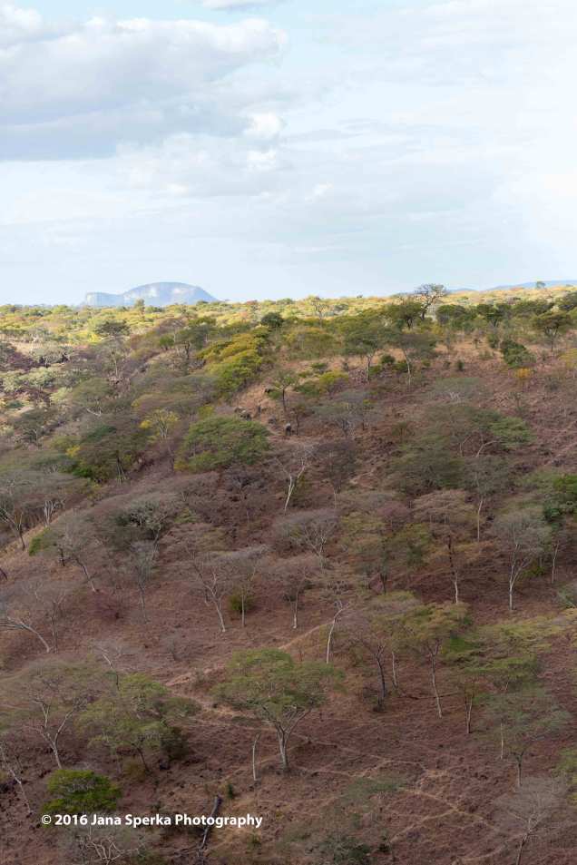 Ellies-climbing-down-cliff-sideweb