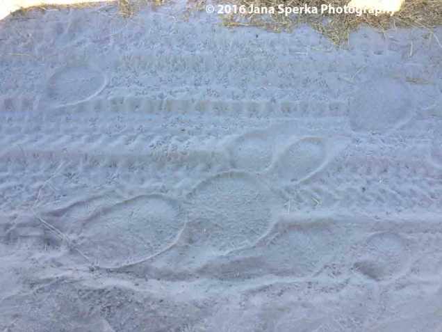 thumb_IMG_1982_1024web