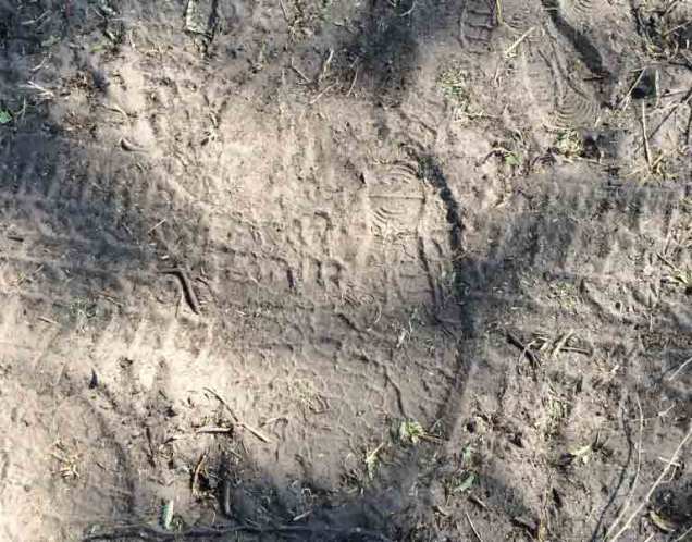 thumb_IMG_1992_1024web