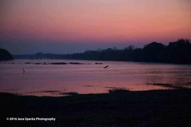 Mayukuyuku-sunriseweb