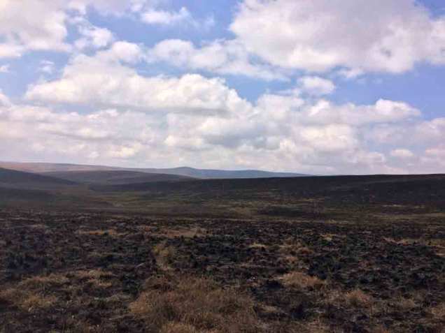 thumb_IMG_2262_1024web