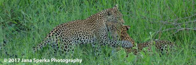 hosana-and-xongile_1web