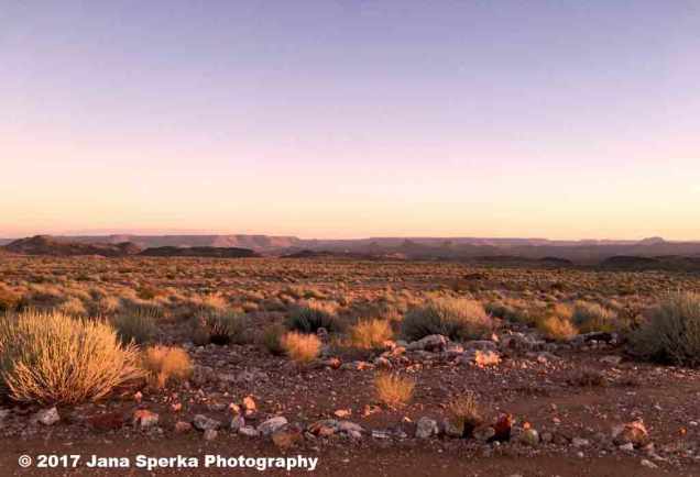 Karoo-Sunriseweb