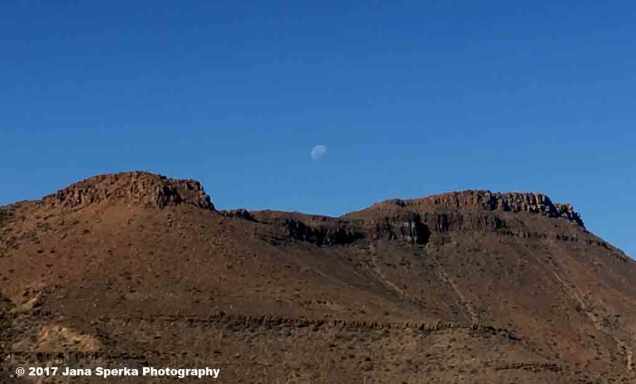 Karoo-with-moonweb