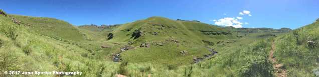 Southern-Drak-copyweb