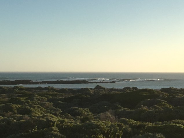 UNADJUSTEDNONRAW_thumb_91a1